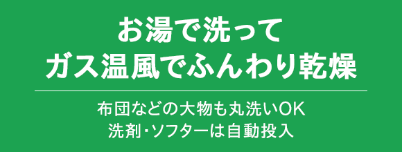 洗濯から乾燥まで約60分 洗剤・柔軟剤も自動投入で楽チン！ 布団などの大物の丸洗いOK！発酵銀イオンで殺菌・抗菌